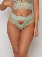 Hiedra brasileña : Verde plateado