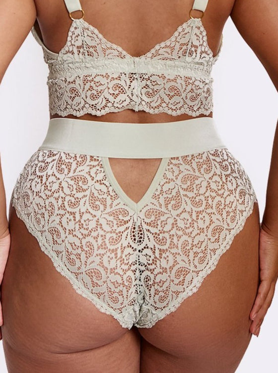 Stunning ivy silvery green lace brief